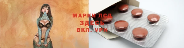 прущие грибы Алексеевка